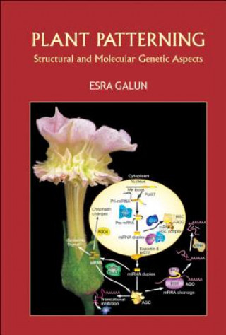 Kniha Plant Patterning: Structural And Molecular Genetic Aspects Esra Galun