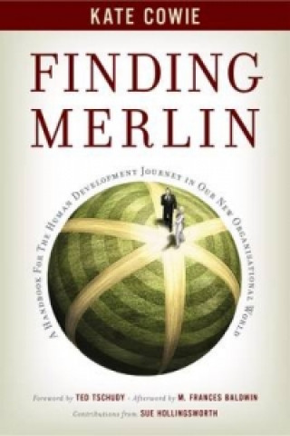 Könyv Finding Merlin Ken Ideus