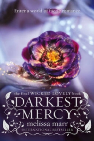 Книга Darkest Mercy Melissa Marr
