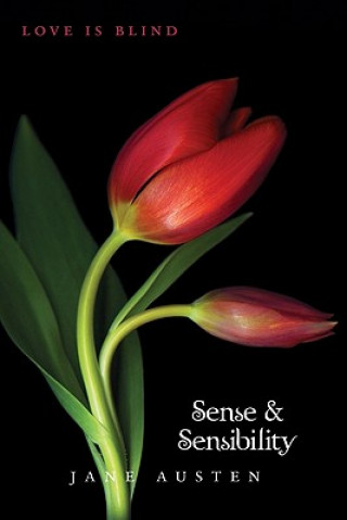 Kniha Sense and Sensibility Jane Austen