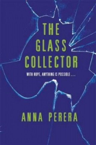 Kniha Glass Collector Anna Perera