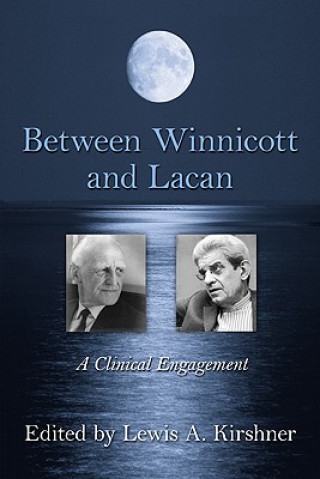 Buch Between Winnicott and Lacan 