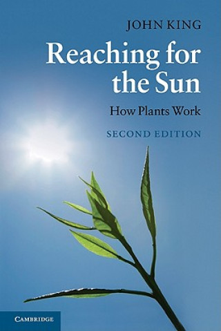 Kniha Reaching for the Sun John King