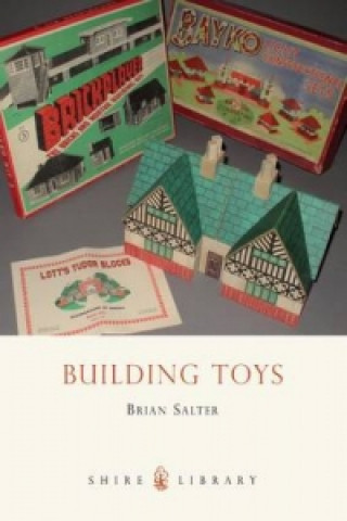 Kniha Building Toys Brian Salter