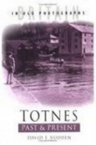 Book Totnes Past and Present David Vodden