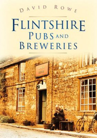 Book Flintshire Pubs and Breweries David Rowe
