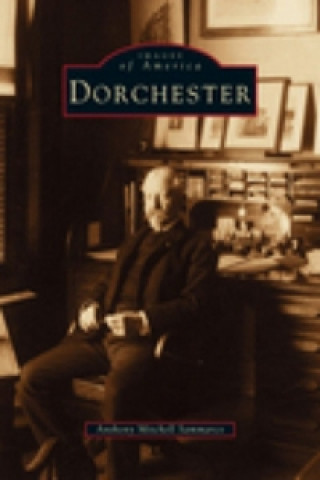 Könyv Dorchester Jo Draper