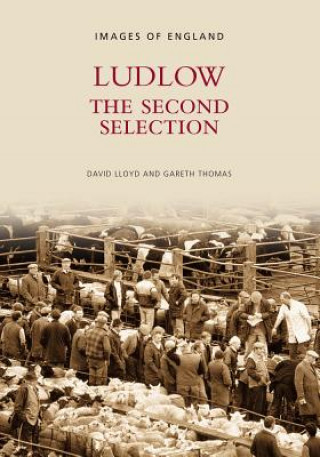 Book Ludlow The Second Selection David Lloyd