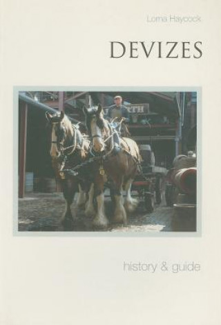Knjiga Devizes: History and Guide Lorna Haycock