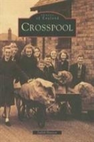 Knjiga Crosspool Judith Hanson