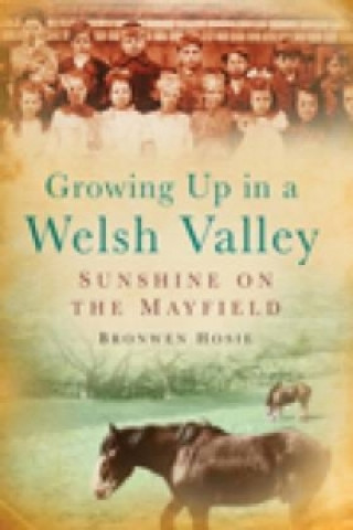 Kniha Growing Up in a Welsh Valley: Sunshine on the Mayfield Bronwen Hosie
