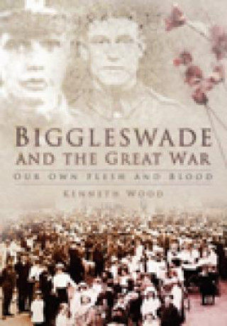 Könyv Biggleswade and the Great War Kenneth Wood