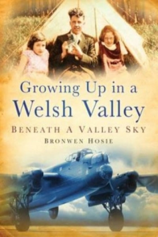 Könyv Growing Up in a Welsh Valley: Beneath a Valley Sky Hosie