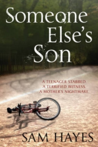 Carte Someone Else's Son: A page-turning psychological thriller with a breathtaking twist Sam Hayes