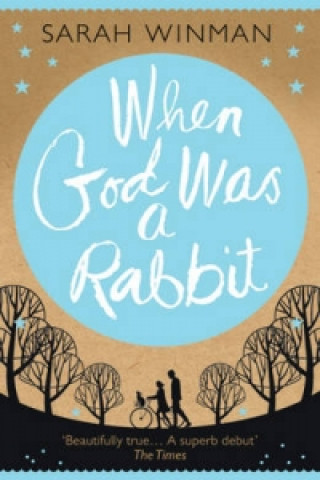 Kniha When God was a Rabbit Sarah Winman