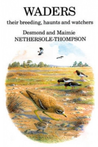 Könyv Waders: their Breeding, Haunts and Watchers Desmond Nethersole-Thompson