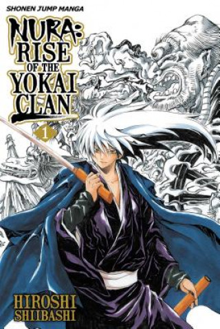 Kniha Nura: Rise of the Yokai Clan, Vol. 1 Hiroshi Shiibashi