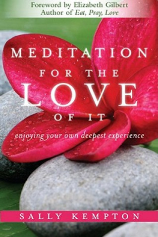 Book Meditation for the Love of it Sally Kempton