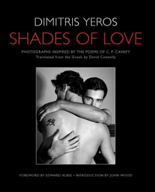 Kniha Shades of Love Dimitris Yeros