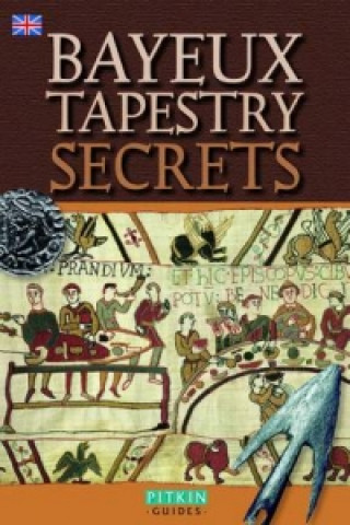 Kniha Bayeux Tapestry Secrets - English Bob Mealing