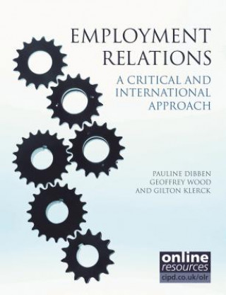 Buch Employment Relations : A Critical and International Approach Pauline Dibben