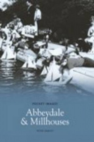 Könyv Abbeydale & Millhouses Peter Harvey