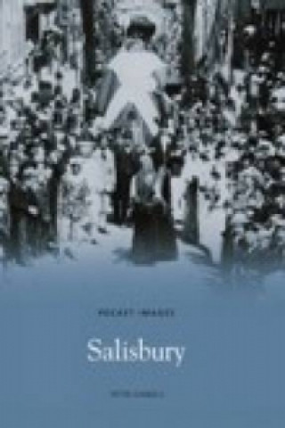 Boek Salisbury Peter Daniels
