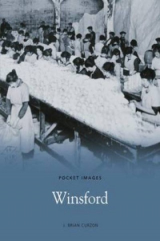 Kniha Winsford Brian Curzon