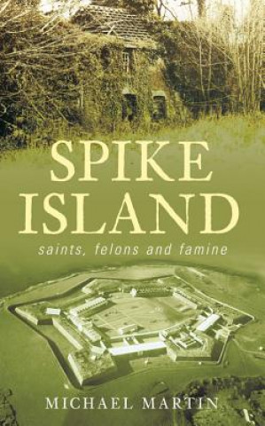 Buch Spike Island Michael Martin