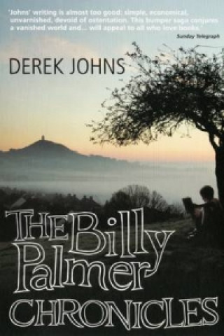 Książka Billy Palmer Chronicles Derek Johns