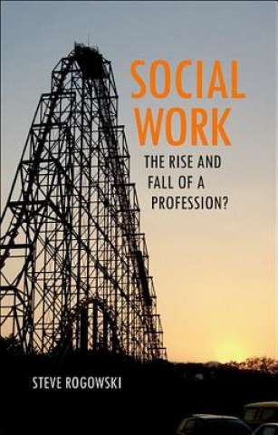 Kniha Social work Steve Rogowski