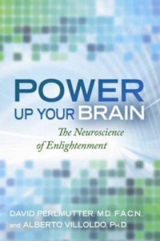 Kniha Power Up Your Brain Alberto Villodo