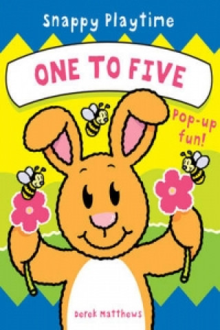 Kniha Snappy Playtime One to Five Derek Matthews