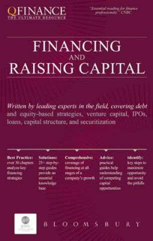 Kniha Financing and Raising Capital Reena Aggarwal