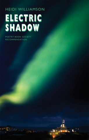 Buch Electric Shadow Heidi Williamson