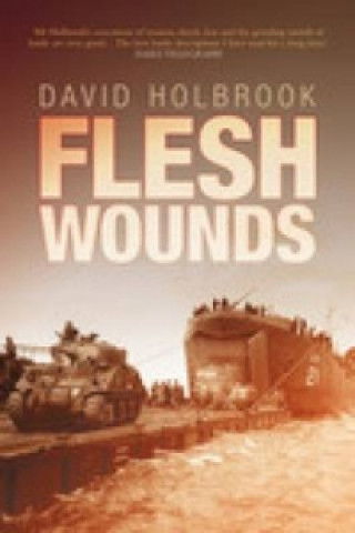 Książka Flesh Wounds David Holbrook