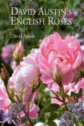 Könyv David Austin's English Roses David Austin
