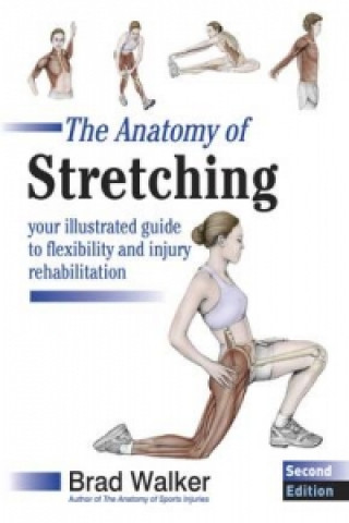 Книга Anatomy of Stretching Bradley Walker