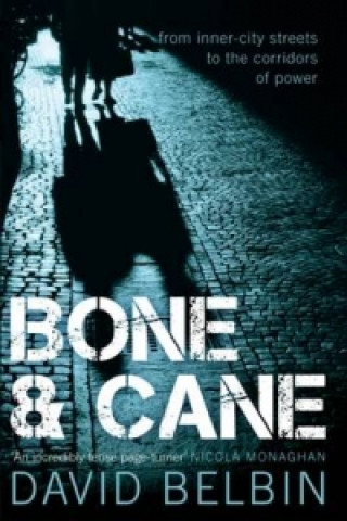 Könyv Bone and Cane David Belbin