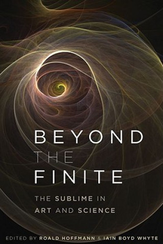 Buch Beyond the Finite Iain Hoffmann