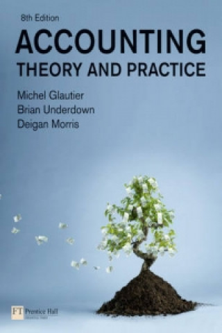 Kniha Accounting: Theory and Practice Michel Glautier