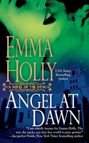 Kniha Angel at Dawn Emma Holly