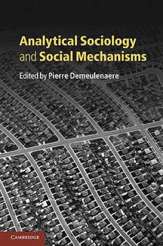 Kniha Analytical Sociology and Social Mechanisms Pierre Demeulenaere