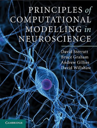Kniha Principles of Computational Modelling in Neuroscience David Sterratt
