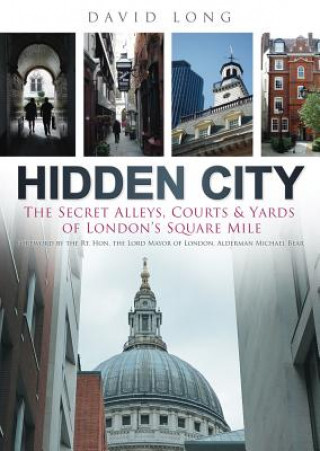 Könyv Hidden City David Long