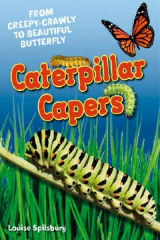 Buch Caterpillar Capers Louise Spilsbury