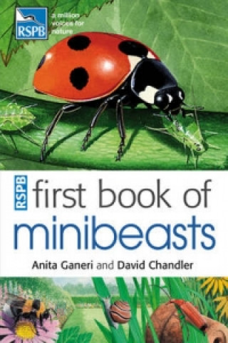 Carte RSPB First Book Of Minibeasts Anita Ganeri