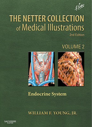 Książka Netter Collection of Medical Illustrations: The Endocrine System William F Young