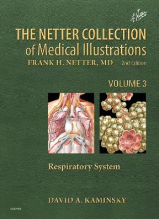 Könyv Netter Collection of Medical Illustrations: Respiratory System David Kaminsky