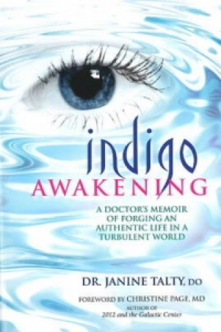 Kniha Indigo Awakening Janine Talty